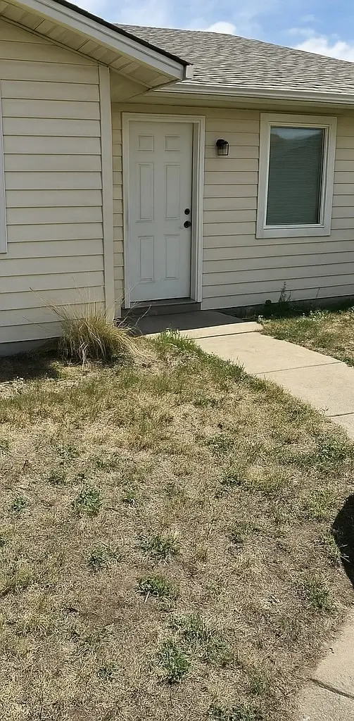 Front yard before landscaping with dry brown grass